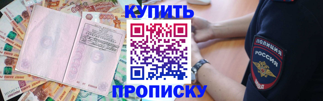 временная регистрация поиск в Новоузенске
